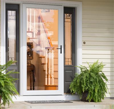 Exterior door with built store in pet door menards